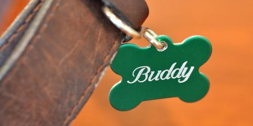 Pet tags engraved with rotary engraving machine