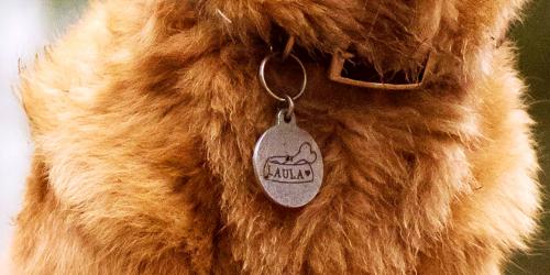 Blank medals and tags to engrave