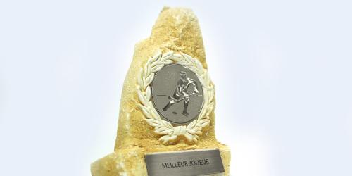 Metallex™ - Engraving material - Gravograph