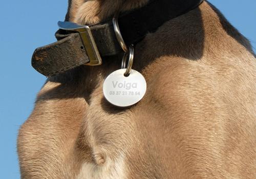 Dog tag engraving 