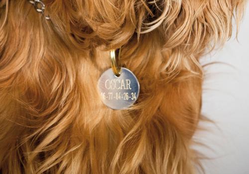 Customization made with dog tag engraving machine