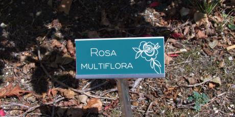 Gravoply™ Ultra - Laser engraving material - Gravograph